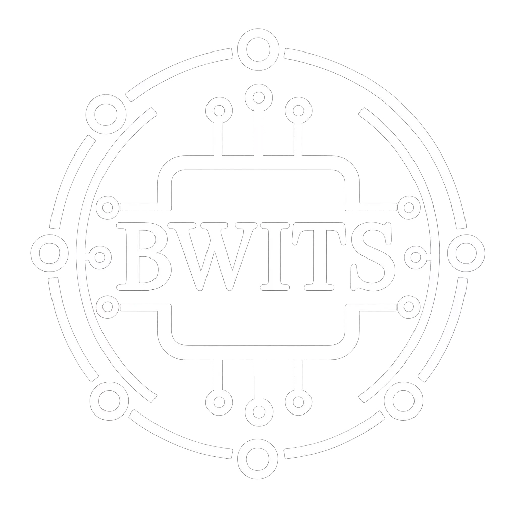 Benjamin Werner IT-Solutions